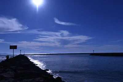 DSC_0851 (Large).JPG